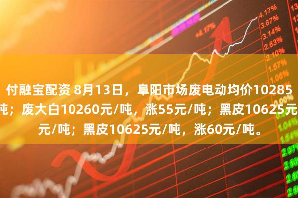 付融宝配资 8月13日，阜阳市场废电动均价10285元/吨，涨10元/吨；废大白10260元/吨，涨55元/吨；黑皮10625元/吨，涨60元/吨。