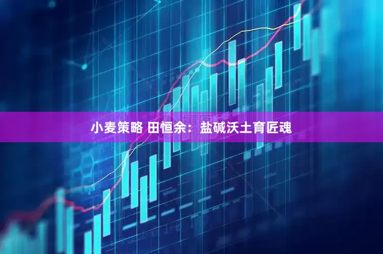 小麦策略 田恒余：盐碱沃土育匠魂